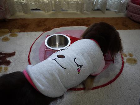 P1010666.JPG