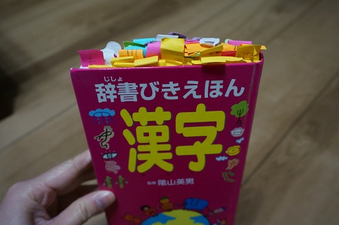 DSC07775.JPG