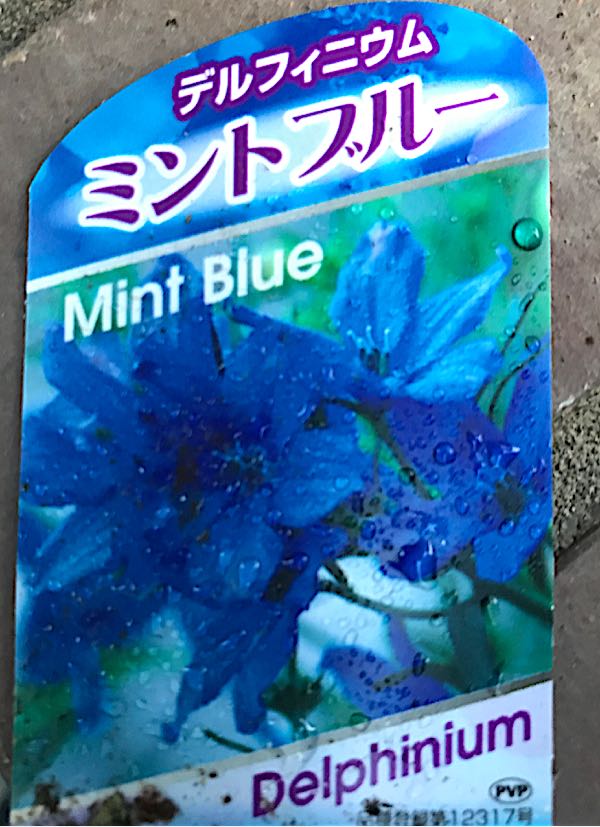 rblog-20180328191210-01.jpg