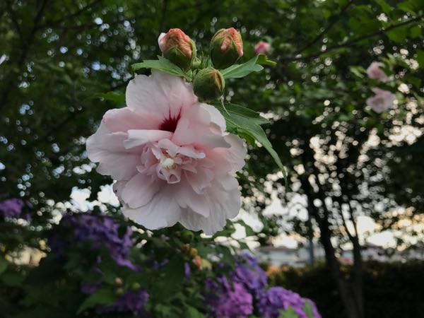 rblog-20180624181756-04.jpg
