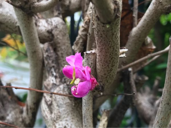 rblog-20190424153514-04.jpg