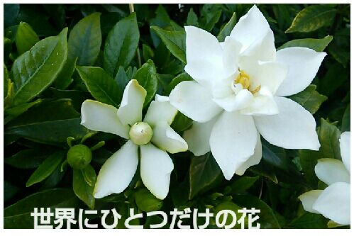 rblog-20160607195248-00.jpg