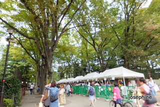 DSCF8305.JPG