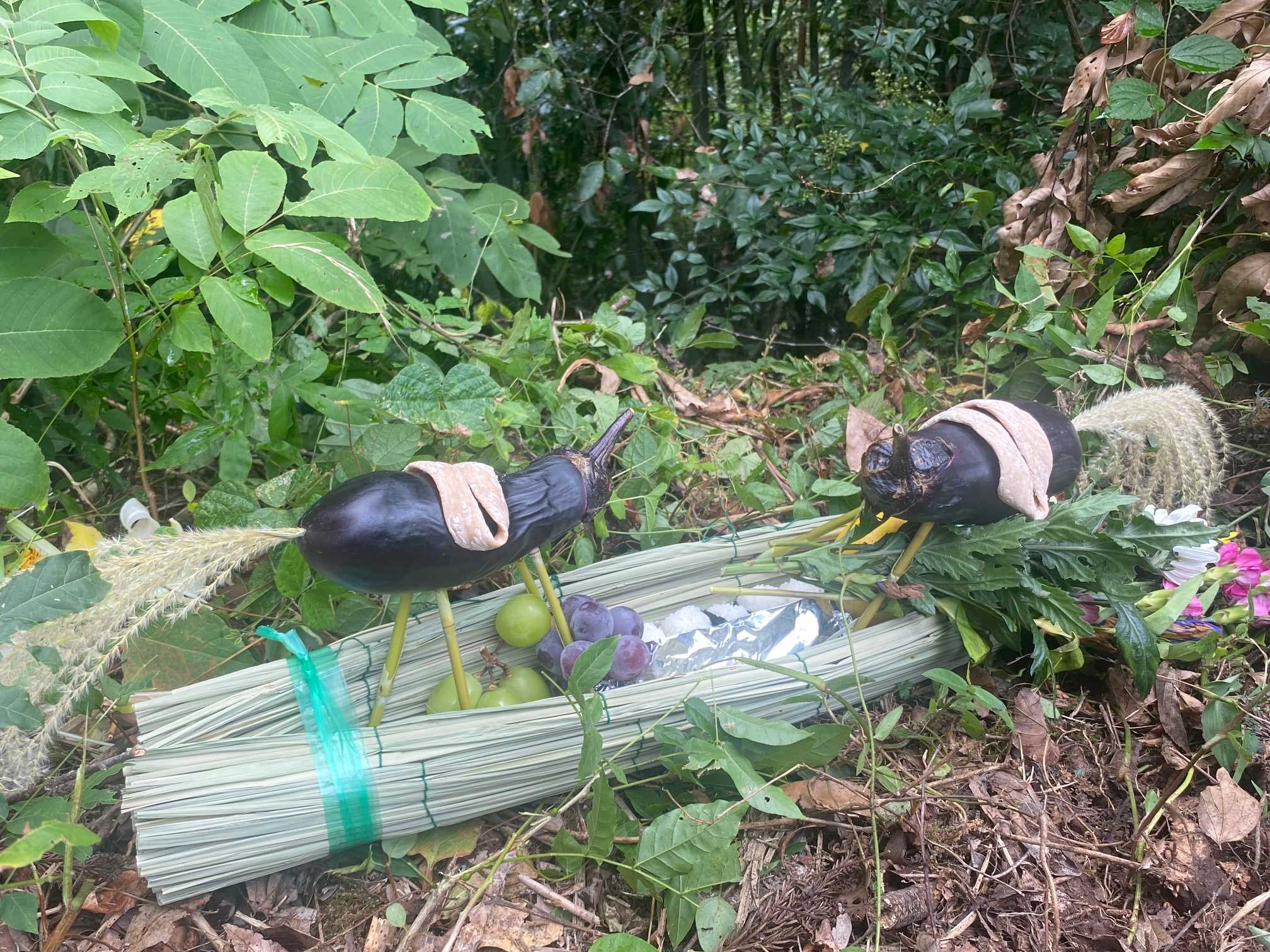 醍醐山と下部（しもべ）温泉