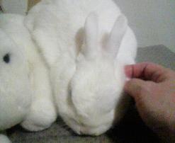 2012040323570000.jpg