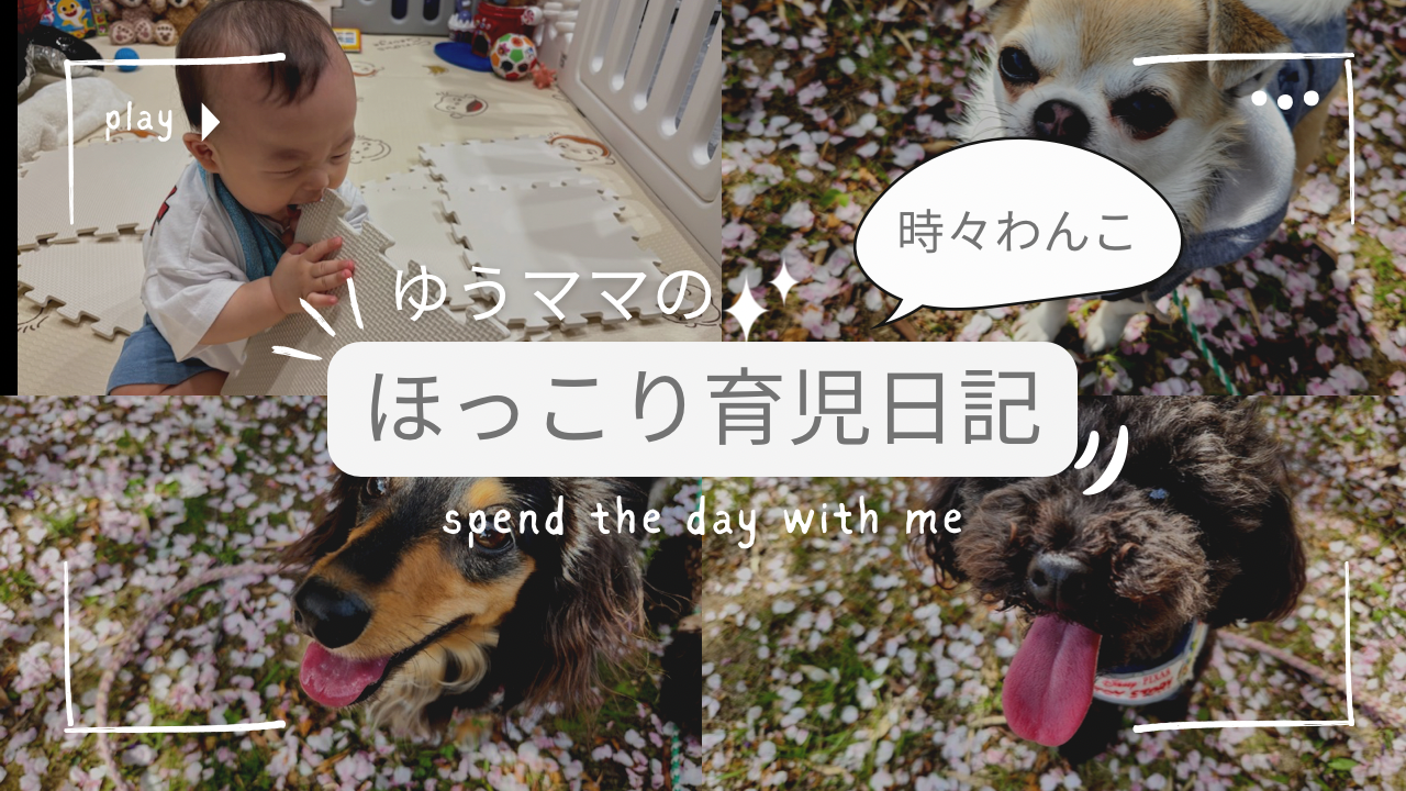 ゆうママのほっこり育児日記