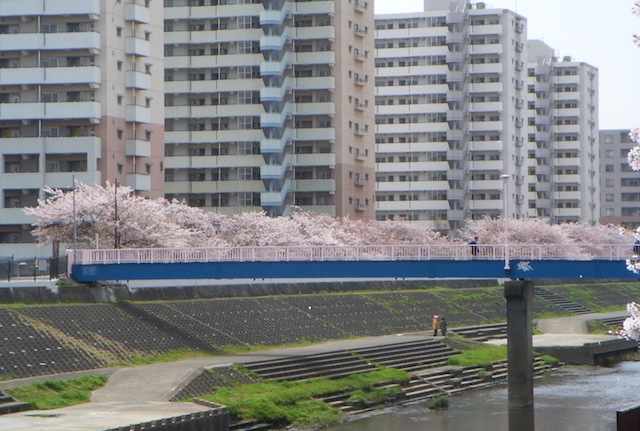 DSCN3833.JPG