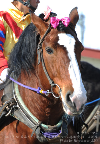 06KotobukiRyan032413Ob8R_01