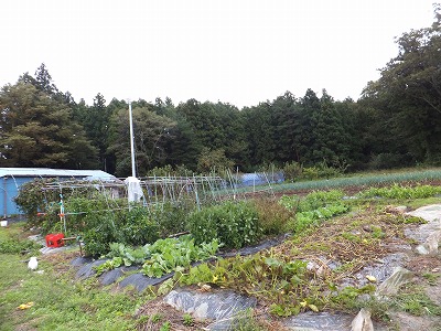 DSCF8664.jpg