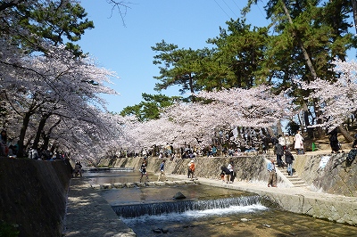 夙川２