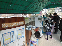 conv0095.JPG