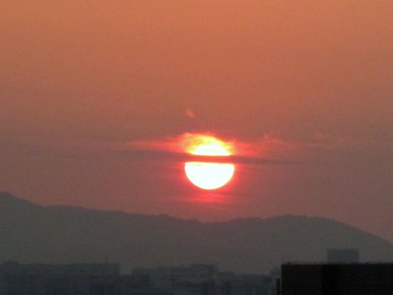 IMG_8032.JPG