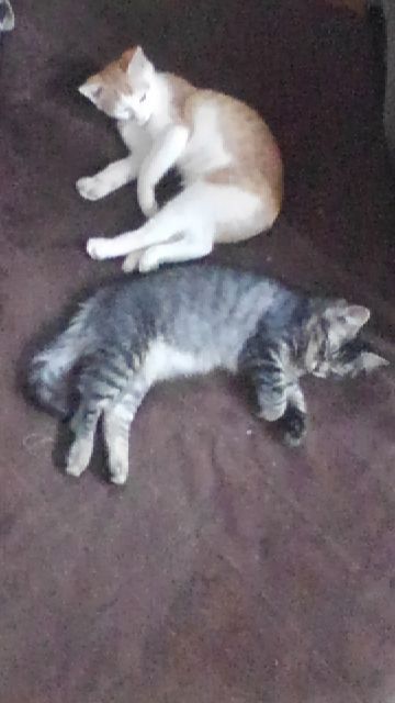 rblog-20181008064824-03.jpg