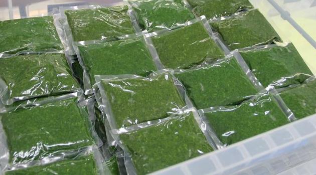 但馬よもぎペースト100ｇ