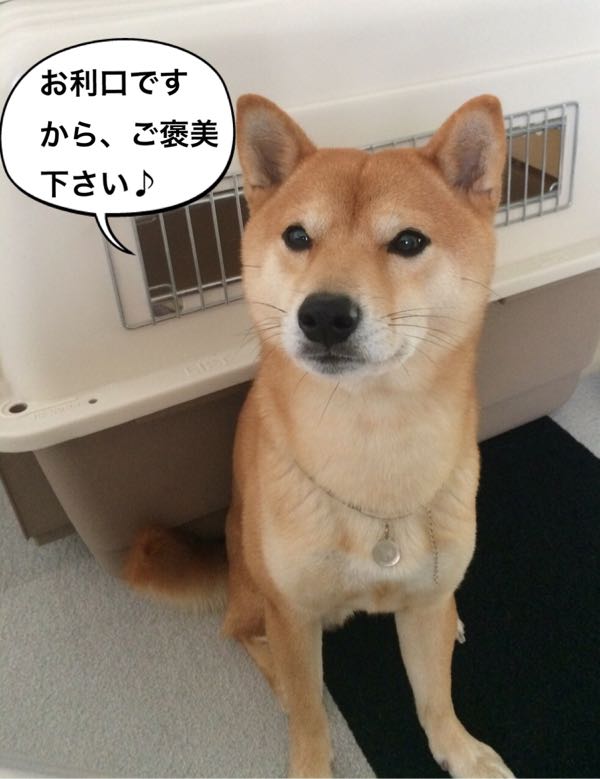 rblog-20161221001611-06.jpg