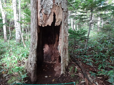 2012-10-07 10.03.23.jpg