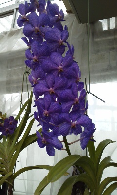 ぴくちゃ 003.JPG