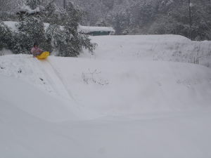 DSC07327.JPG