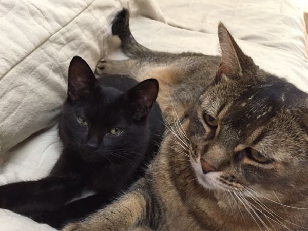 rblog-20170815220941-02.jpg