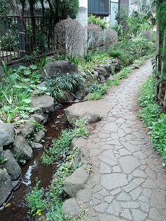 はけの道２.jpg