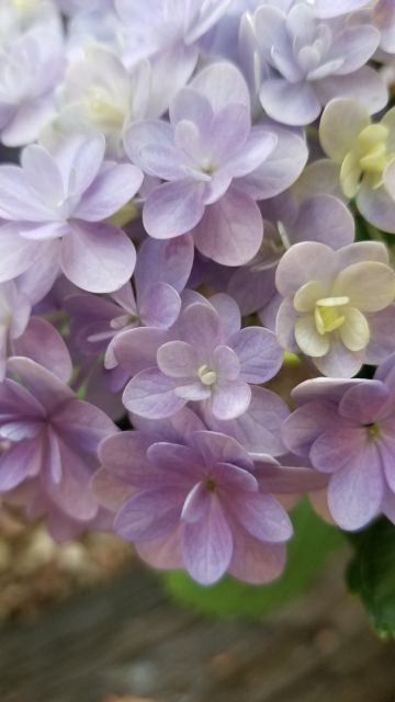 rblog-20180605094918-03.jpg