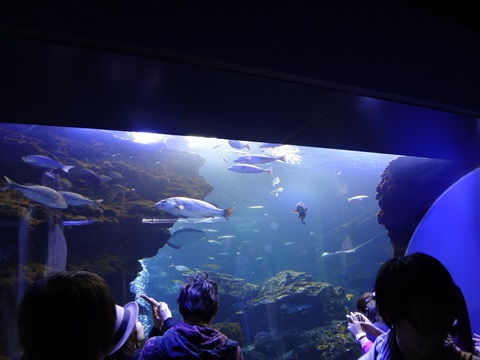 DSC04214.JPG