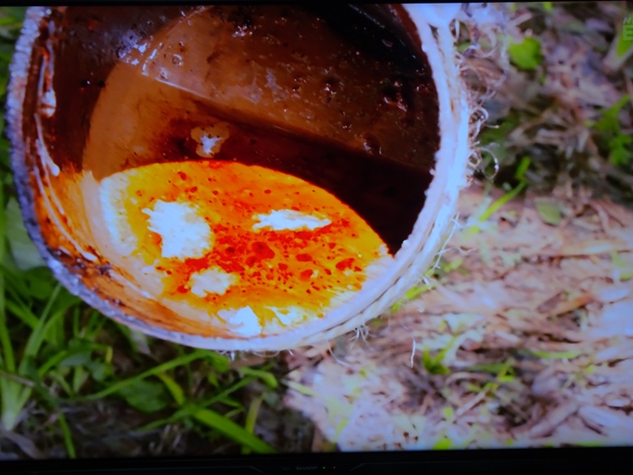 図録「URUSHI ふしぎ物語 - 人と漆の12000年史」国立歴史民俗博物館 図録 | 企画展示 | URUSHIふしぎ物語 | 人と漆の12000年史 - ノース