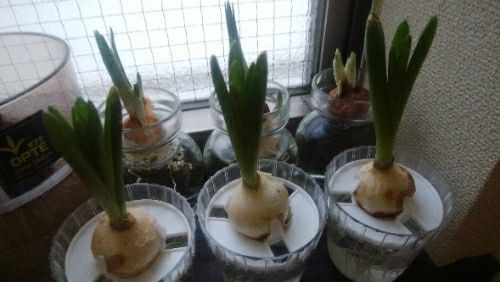 rblog-20180118043103-03.jpg