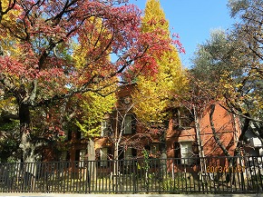 紅葉131129-640b.jpg