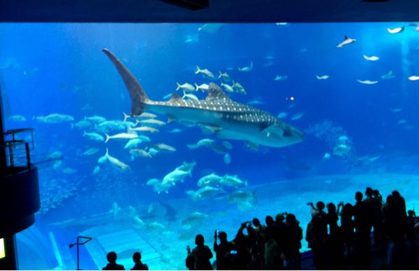 rblog-20170114222250-05.jpg