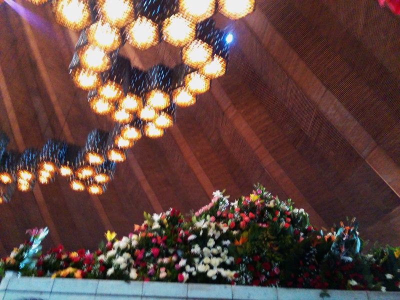 rosa de guadalupe