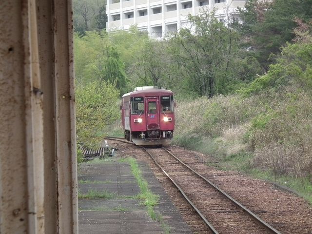 DSCF3768.JPG