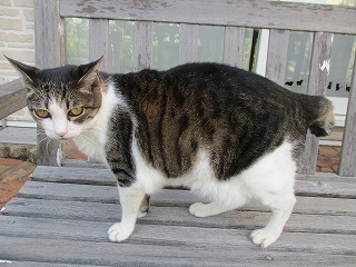 IMG_8030ss.jpg