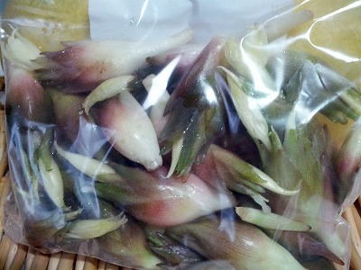 頂き物.jpg