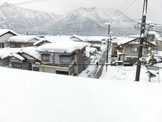 hari- 094.JPG