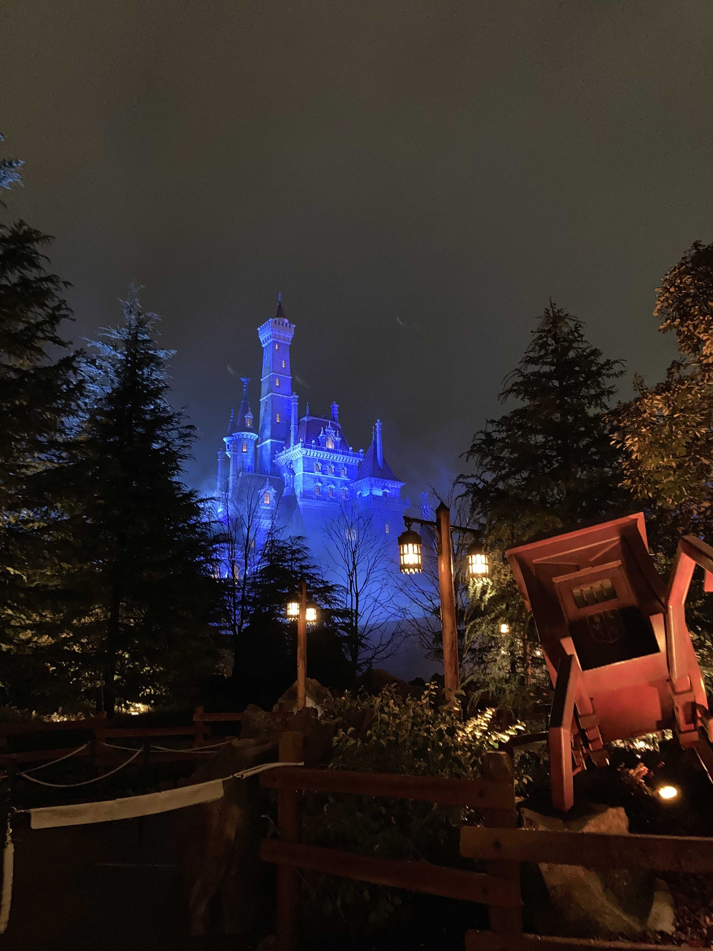 猫かごはんか猫と猫