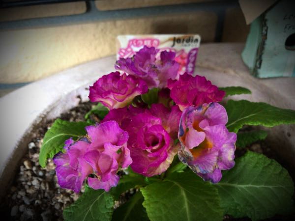 rblog-20161231162457-06.jpg