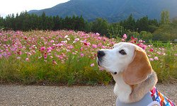 20121005クラフトパーク