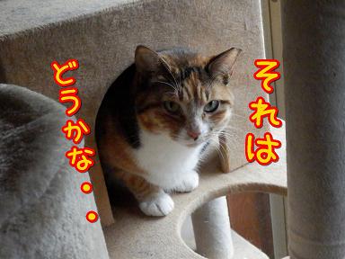 それは.JPG