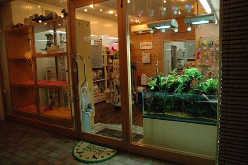 s_DSC_9252.JPG