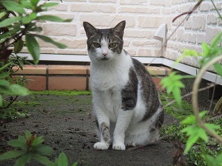 IMG_9944ss.jpg