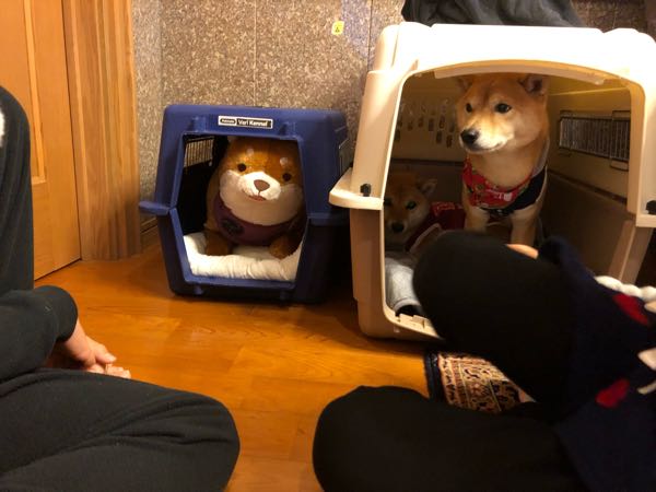 rblog-20190103113629-00.jpg
