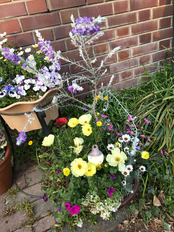 rblog-20190324173608-02.jpg