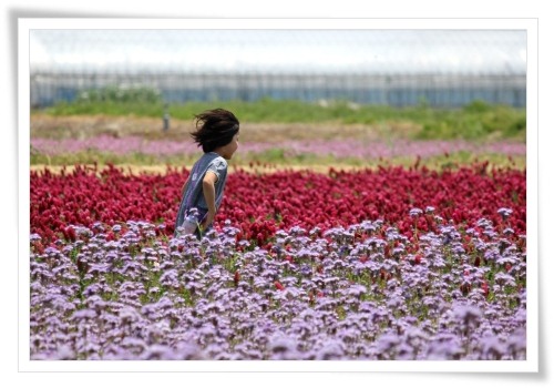 能美市石子町-12 走る少女 13.5.18