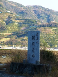 P1010170.JPG