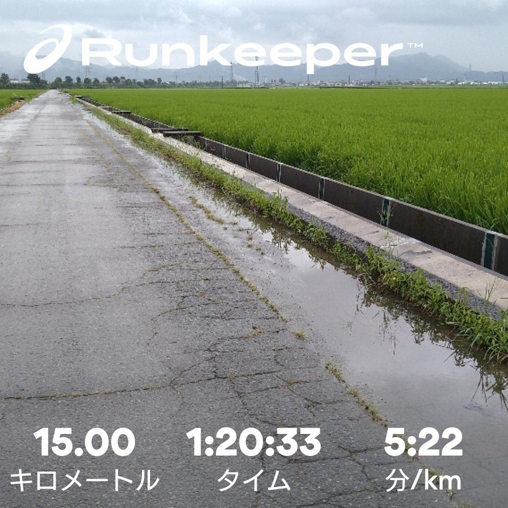 8月13日の減酒日記 162日目 午前にランニング15km | 減酒日記（禁酒はムリ…） - 楽天ブログ