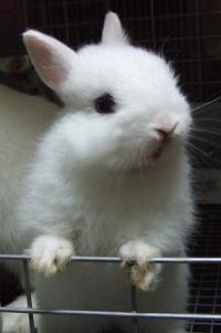 nikobaby6-20-2012.JPG