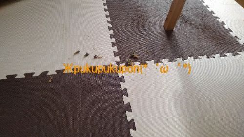 rblog-20171106115929-01.jpg