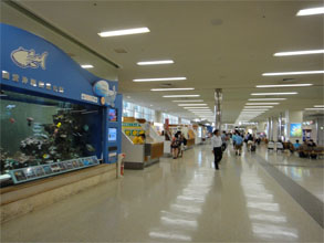 石垣64.jpg