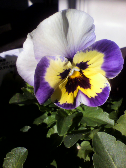 2012121313030000.jpg